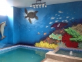 coral reef mural