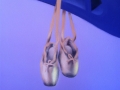 dieneke-ballet-shoes