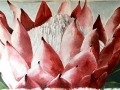 protea finger painting